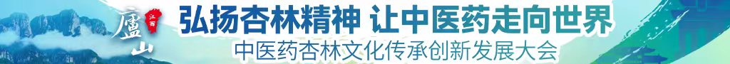 大鸡巴草死你小骚逼网站中医药杏林文化传承创新发展大会